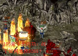 195��ţ���ڹ���սʿ��ε���BOSS��