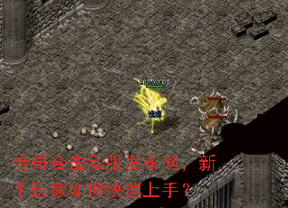 传奇合击私服发布网,新手玩家如何快速上手? 传奇合击私服发布网,新手玩家如何快速上手?