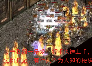 传奇私服一条龙:新手快速上手,老手进阶打金,有什么不为人知的秘诀吗? 传奇私服一条龙:新手快速上手,老手进阶打金,有什么不为人知的秘诀吗?