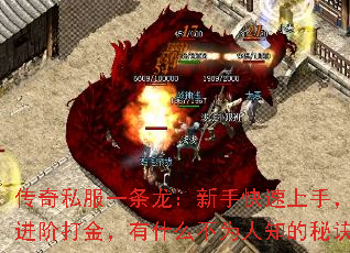 传奇私服一条龙:新手快速上手,老手进阶打金,有什么不为人知的秘诀吗? 传奇私服一条龙:新手快速上手,老手进阶打金,有什么不为人知的秘诀吗?