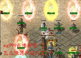 wg999在传奇里怎么快速升级打宝? wg999在传奇里怎么快速升级打宝?