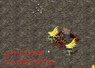 wg999在传奇里怎么快速升级打宝? wg999在传奇里怎么快速升级打宝?