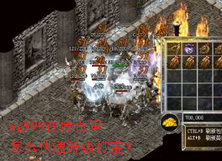 wg999在传奇里怎么快速升级打宝? wg999在传奇里怎么快速升级打宝?