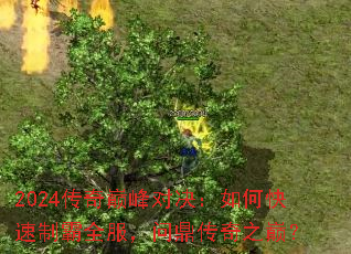 2024传奇巅峰对决:如何快速制霸全服,问鼎传奇之巅? 2024传奇巅峰对决:如何快速制霸全服,问鼎传奇之巅?