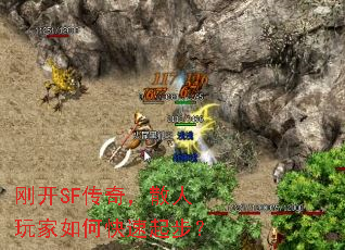 �տ�SF���棬ɢ�������ο����𲽣�