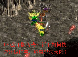 170��Ұ洫�棺������ο��������򱦣��ư��귨��½��