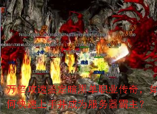 �򱶹��ټ������ڵ�ְҵ���棬��ο������ֲ���Ϊ������������