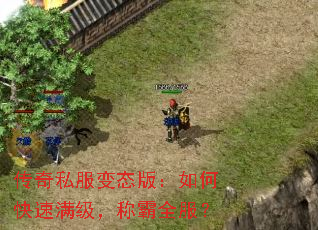 传奇私服变态版:如何快速满级,称霸全服? 传奇私服变态版:如何快速满级,称霸全服?