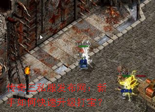 传奇三私服发布网:新手如何快速升级打宝? 传奇三私服发布网:新手如何快速升级打宝?