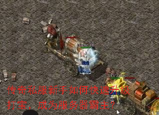 传奇私服新手如何快速升级打宝,成为服务器霸主? 传奇私服新手如何快速升级打宝,成为服务器霸主?