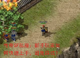 传奇SF私服:新手玩家如何快速上手,避免踩坑? 传奇SF私服:新手玩家如何快速上手,避免踩坑?