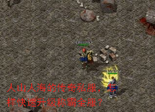 人山人海的传奇私服,怎样快速升级称霸全服? 人山人海的传奇私服,怎样快速升级称霸全服?