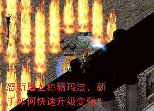 怒斩屠龙称霸玛法,新手如何快速升级变强? 怒斩屠龙称霸玛法,新手如何快速升级变强?