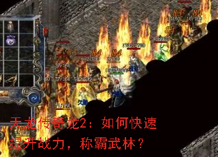 天龙传奇龙2:如何快速提升战力,称霸武林? 天龙传奇龙2:如何快速提升战力,称霸武林?