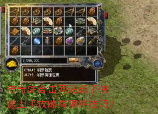 传奇SF合击网站新手快速上手攻略有哪些技巧? 传奇SF合击网站新手快速上手攻略有哪些技巧?