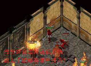 传奇SF合击网站新手快速上手攻略有哪些技巧? 传奇SF合击网站新手快速上手攻略有哪些技巧?