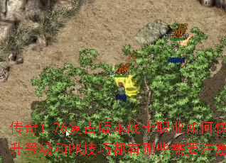 传奇1.76复古版本战士职业如何快速提升等级和PK技巧都有哪些需要注意的呢? 传奇1.76复古版本战士职业如何快速提升等级和PK技巧都有哪些需要注意的呢?