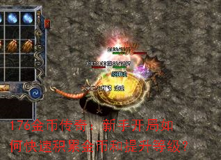 176金币传奇:新手开局如何快速积累金币和提升等级? 176金币传奇:新手开局如何快速积累金币和提升等级?