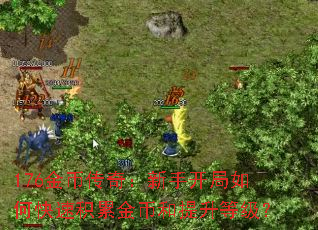 176金币传奇:新手开局如何快速积累金币和提升等级? 176金币传奇:新手开局如何快速积累金币和提升等级?