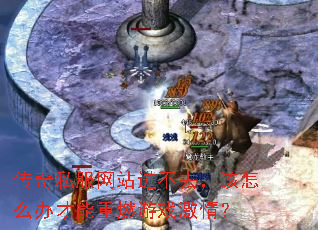 传奇私服网站进不去,该怎么办才能重燃游戏激情? 传奇私服网站进不去,该怎么办才能重燃游戏激情?
