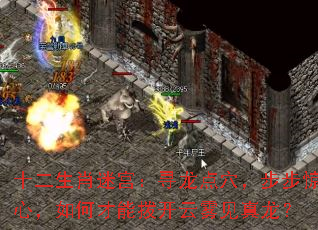 十二生肖迷宫:寻龙点穴,步步惊心,如何才能拨开云雾见真龙? 十二生肖迷宫:寻龙点穴,步步惊心,如何才能拨开云雾见真龙?