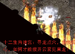 十二生肖迷宫:寻龙点穴,步步惊心,如何才能拨开云雾见真龙? 十二生肖迷宫:寻龙点穴,步步惊心,如何才能拨开云雾见真龙?