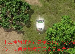 十二生肖迷宫:寻龙点穴,步步惊心,如何才能拨开云雾见真龙? 十二生肖迷宫:寻龙点穴,步步惊心,如何才能拨开云雾见真龙?