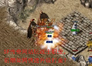 SF传奇网站玩战士职业,前期如何快速升级打金? SF传奇网站玩战士职业,前期如何快速升级打金?