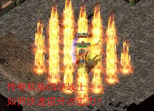 ����˽��CQSFսʿ��ο���������������