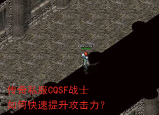 ����˽��CQSFսʿ��ο���������������