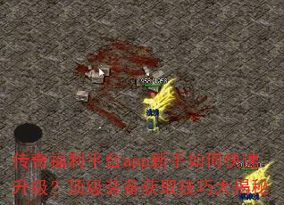 传奇福利平台app新手如何快速升级?顶级装备获取技巧大揭秘 传奇福利平台app新手如何快速升级?顶级装备获取技巧大揭秘