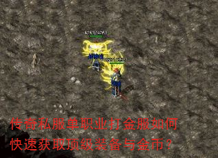 传奇私服单职业打金服如何快速获取顶级装备与金币? 传奇私服单职业打金服如何快速获取顶级装备与金币?