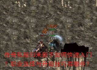 传奇私服归来新手如何快速入门?职业选择与升级技巧有哪些? 传奇私服归来新手如何快速入门?职业选择与升级技巧有哪些?