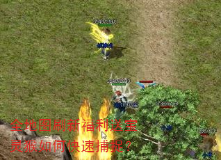 全地图刷新福利送宝灵猴如何快速捕捉? 全地图刷新福利送宝灵猴如何快速捕捉?