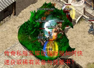 传奇私服荣耀版正版服如何快速获取稀有装备与技能书? 传奇私服荣耀版正版服如何快速获取稀有装备与技能书?