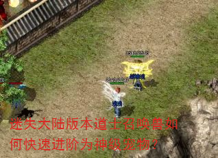 迷失大陆版本道士召唤兽如何快速进阶为神级宠物? 迷失大陆版本道士召唤兽如何快速进阶为神级宠物?