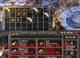 新开传奇私服怎样挑选合适服务器并掌握高效升级攻略? 新开传奇私服怎样挑选合适服务器并掌握高效升级攻略?