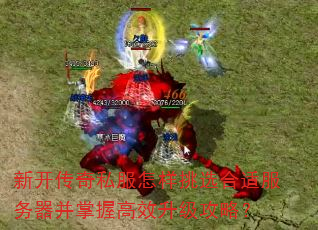 新开传奇私服怎样挑选合适服务器并掌握高效升级攻略? 新开传奇私服怎样挑选合适服务器并掌握高效升级攻略?