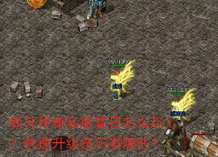 新开传奇私服首日怎么玩?快速升级技巧有哪些? 新开传奇私服首日怎么玩?快速升级技巧有哪些?
