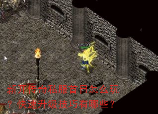 新开传奇私服首日怎么玩?快速升级技巧有哪些? 新开传奇私服首日怎么玩?快速升级技巧有哪些?