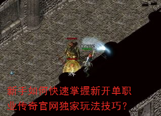 新手如何快速掌握新开单职业传奇官网独家玩法技巧? 新手如何快速掌握新开单职业传奇官网独家玩法技巧?