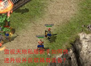 傲视天地私服新手如何快速升级并获取稀有装备? 傲视天地私服新手如何快速升级并获取稀有装备?