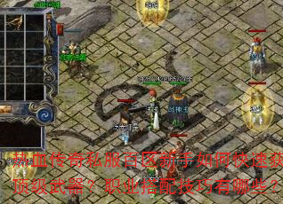 热血传奇私服百区新手如何快速获取顶级武器?职业搭配技巧有哪些? 热血传奇私服百区新手如何快速获取顶级武器?职业搭配技巧有哪些?