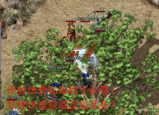 无赦传奇私服新手必看:怎样快速获取顶级装备? 无赦传奇私服新手必看:怎样快速获取顶级装备?