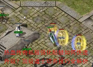 热血传奇私服强化骷髅如何快速升级?顶级道士培养技巧全解析 热血传奇私服强化骷髅如何快速升级?顶级道士培养技巧全解析
