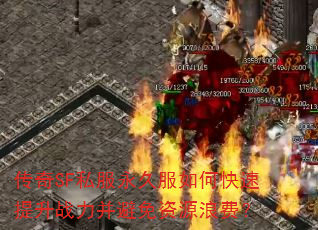 ����SF˽�����÷���ο�������ս����������Դ�˷ѣ�