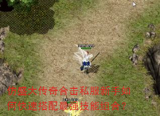 仿盛大传奇合击私服新手如何快速搭配最强技能组合? 仿盛大传奇合击私服新手如何快速搭配最强技能组合?