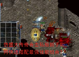 仿盛大传奇合击私服新手如何快速搭配最强技能组合? 仿盛大传奇合击私服新手如何快速搭配最强技能组合?