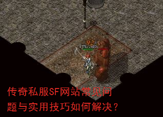 ����˽��SF��վ����������ʵ�ü�����ν����