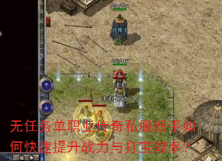 无任务单职业传奇私服新手如何快速提升战力与打宝效率? 无任务单职业传奇私服新手如何快速提升战力与打宝效率?